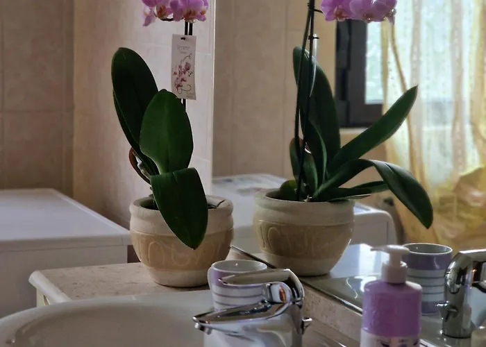 Divino Superior Altedo